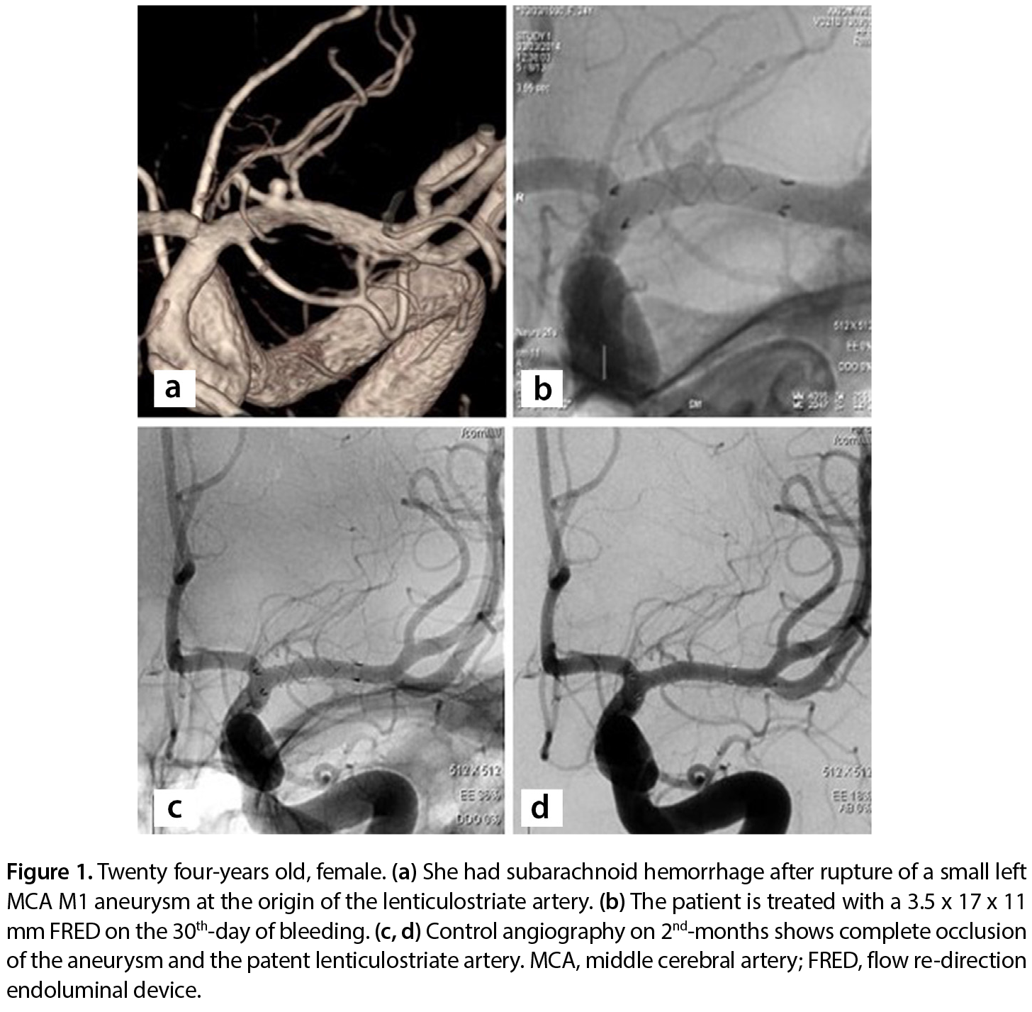 Figure 1