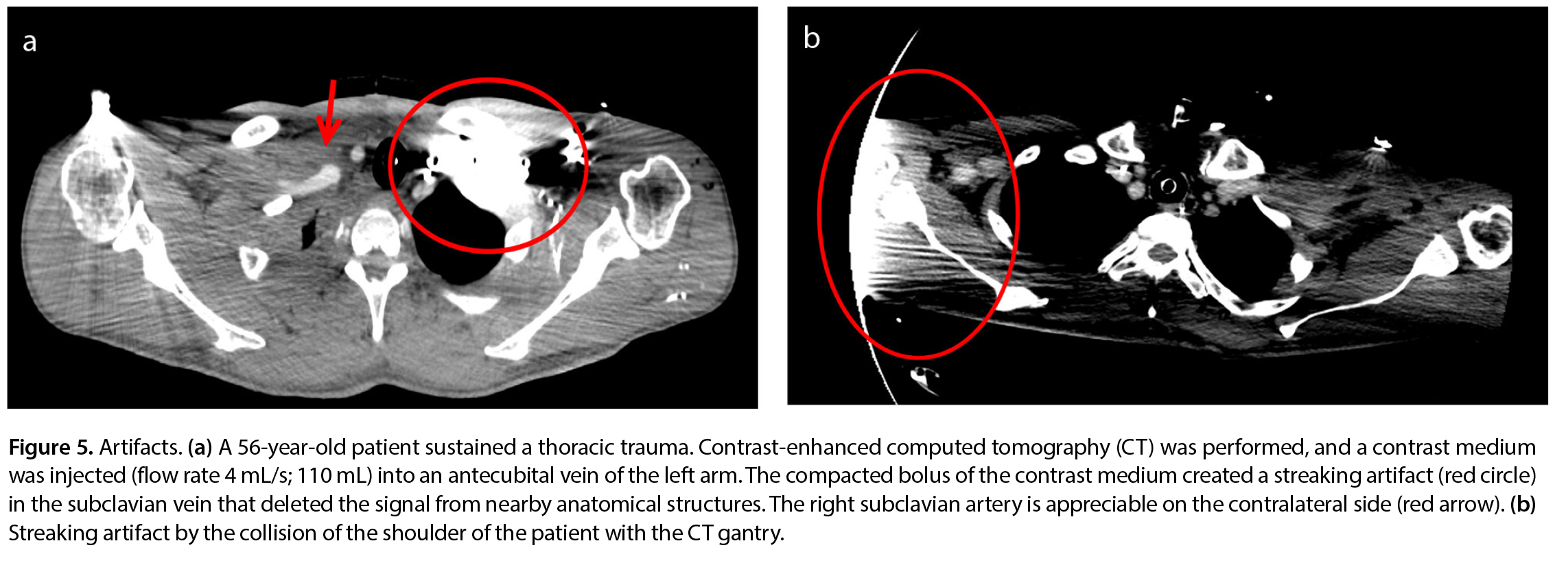 Figure 5