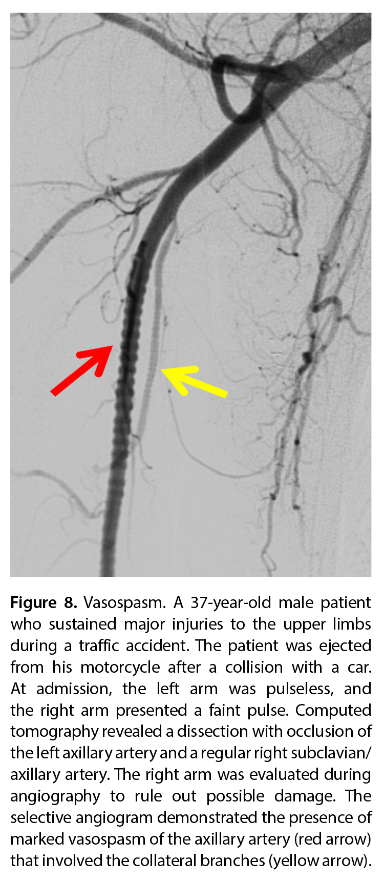 Figure 8