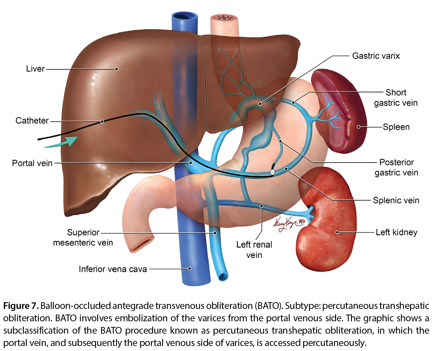 Figure 7