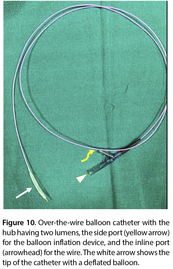 Figure 10