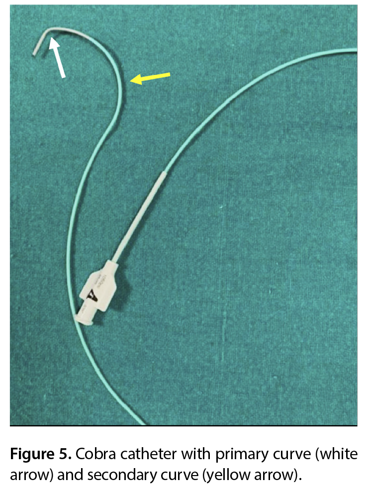Figure 5