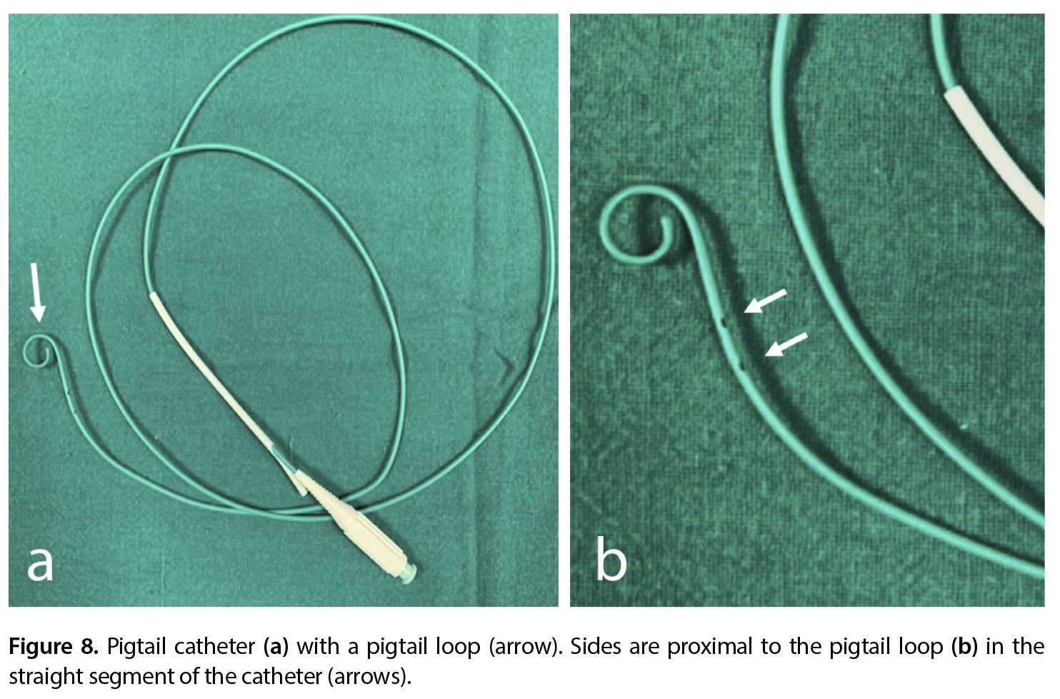 Figure 8