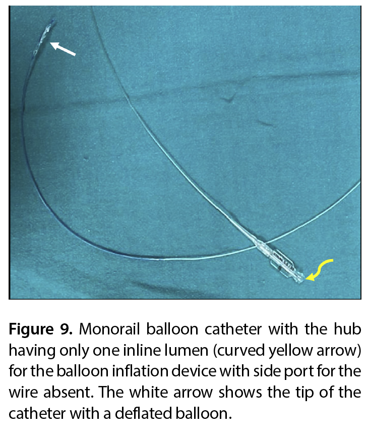 Figure 9