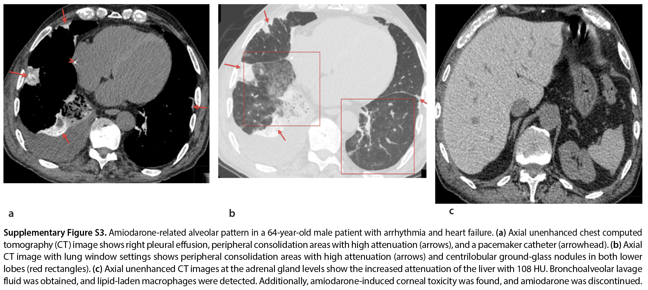 Supplementary Figure 3