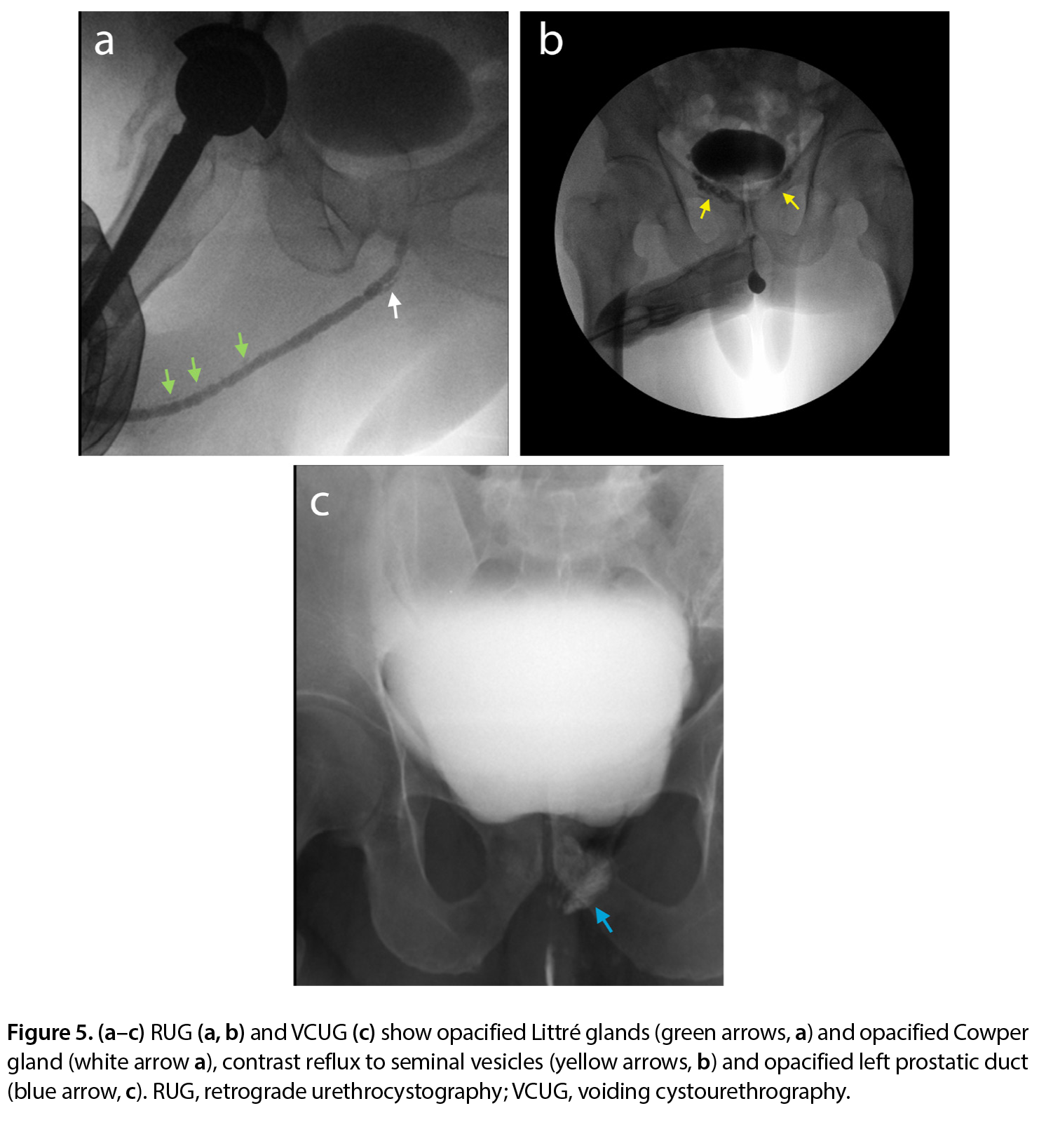 Figure 5