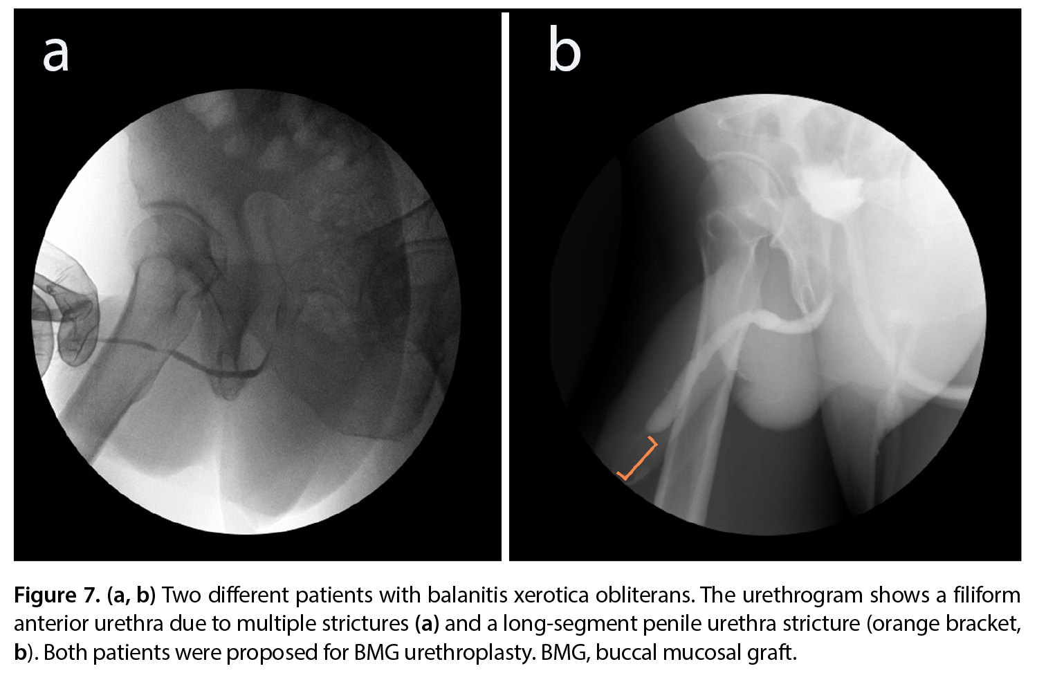 Figure 7