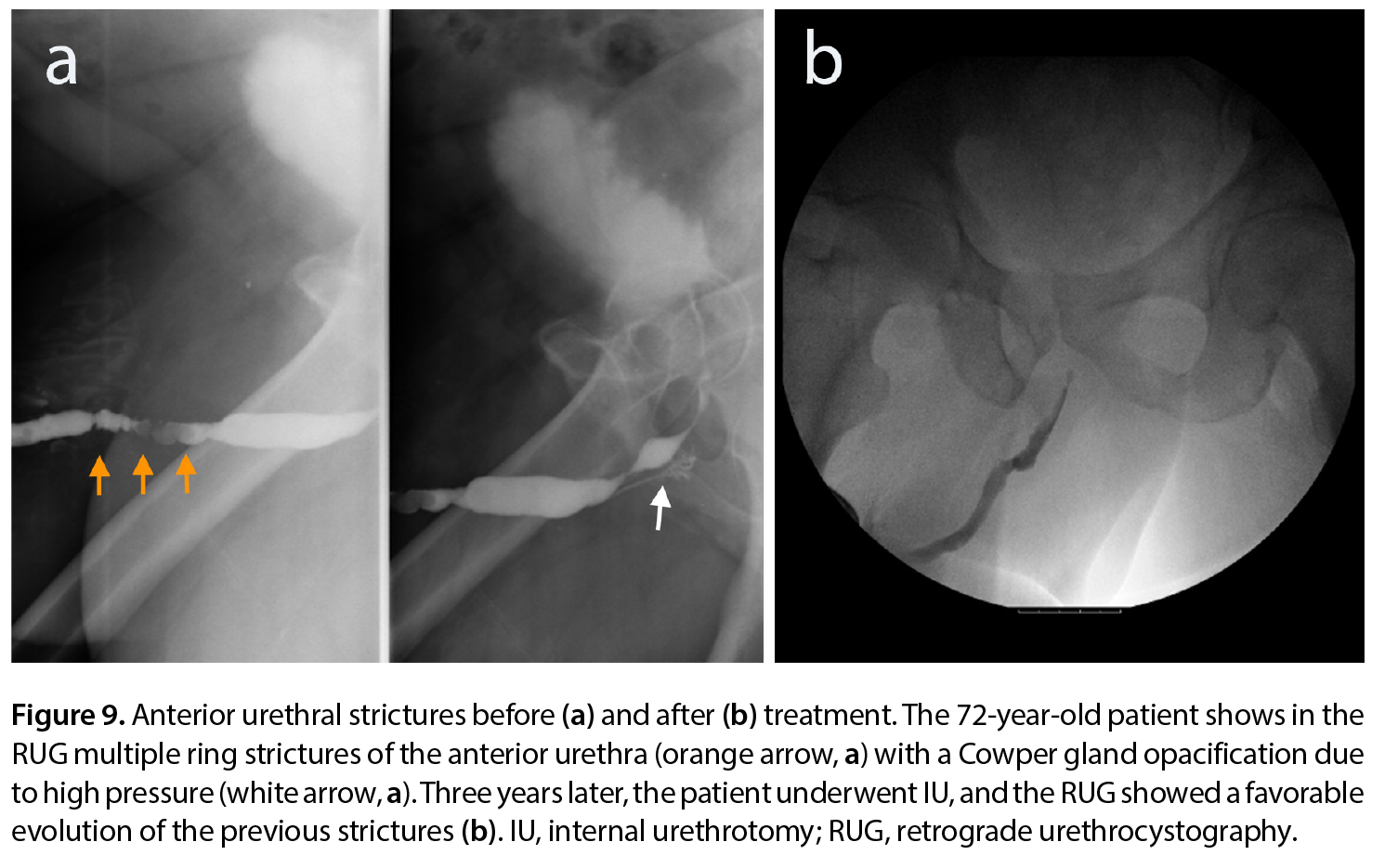 Figure 9