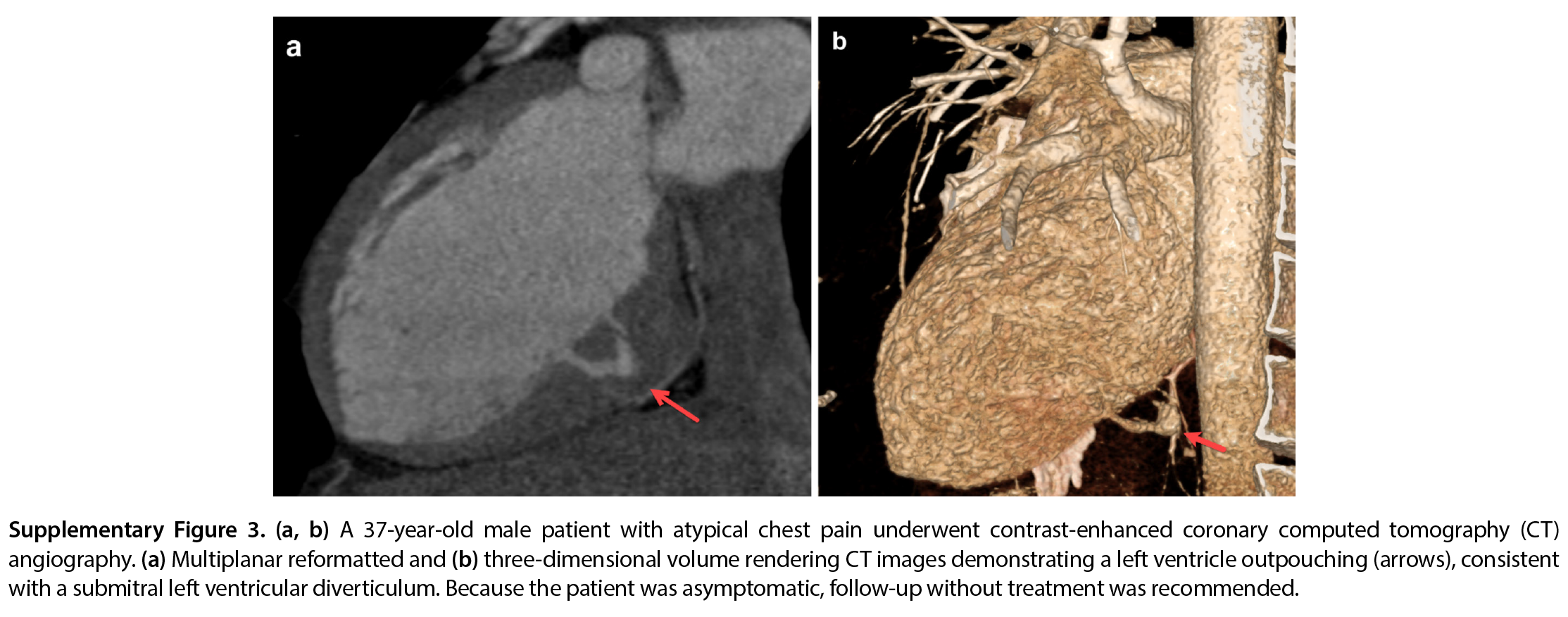 Supplementary Figure 3