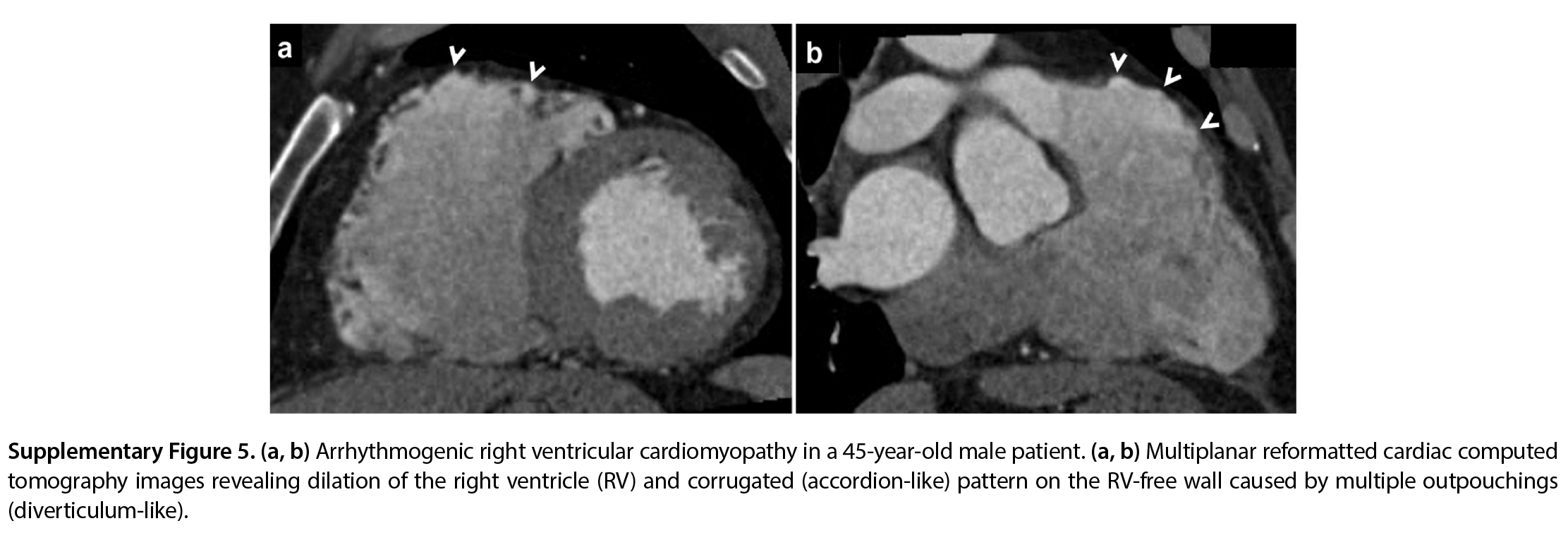 Supplementary Figure 5