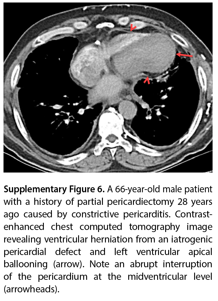 Supplementary Figure 6