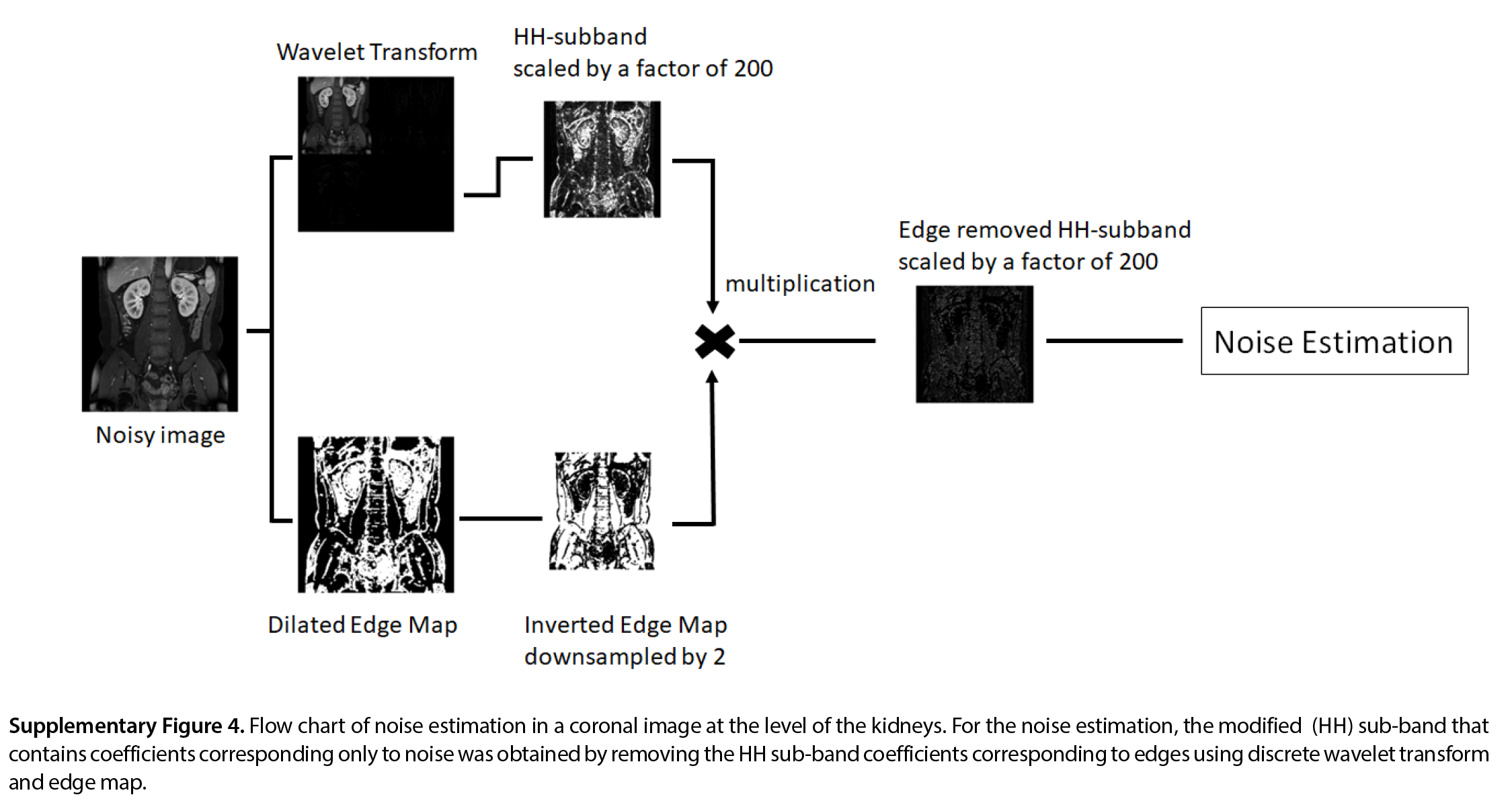 Supplementary Figure 4