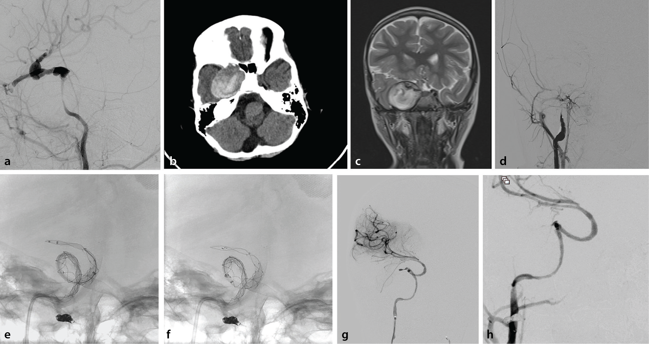 Supplementary Figure 1