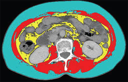 Supplementary Figure 1