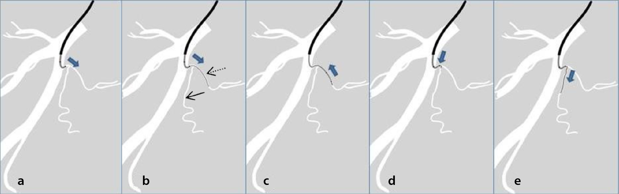 Supplementary Figure 1