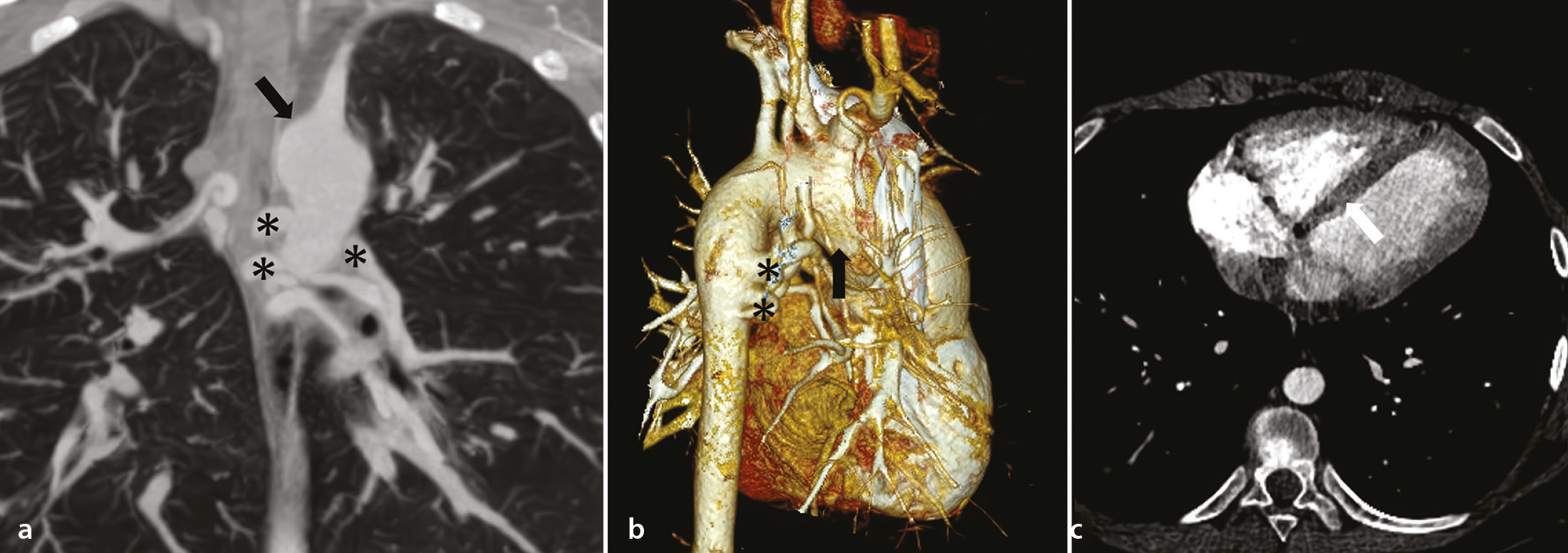 Figure 19