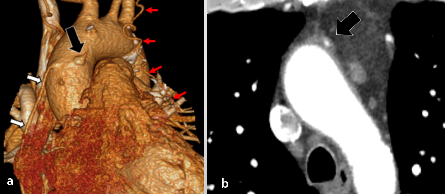 Supplementary Figure 1