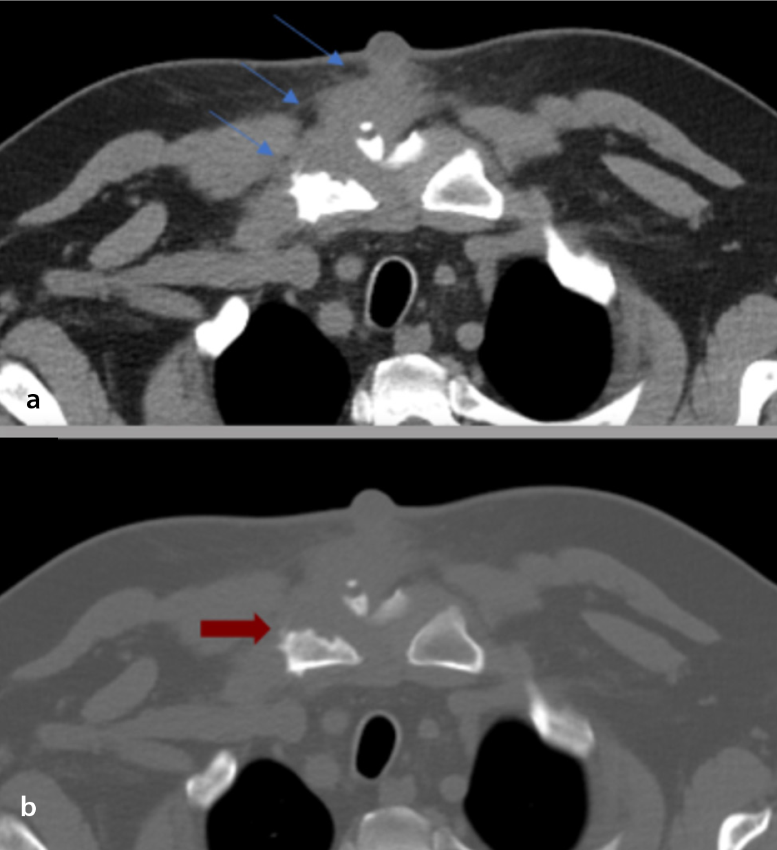 Supplementary Figure 6